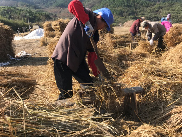 优发国际|随优而动一触即发
