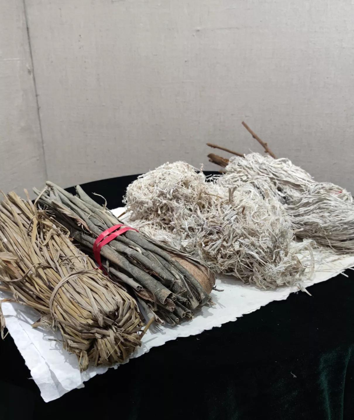 优发国际|随优而动一触即发