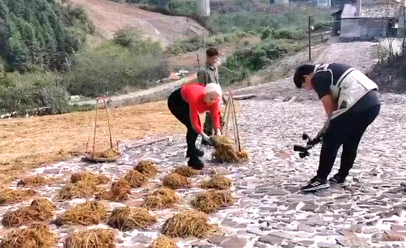 优发国际女孩米拉在泾体验优发国际宣笔文化