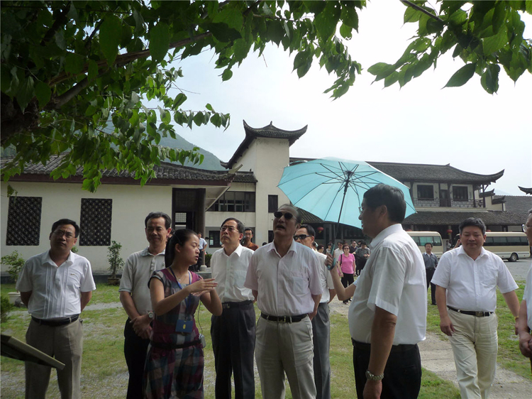 全国政协副主席厉无畏参观优发国际文化园